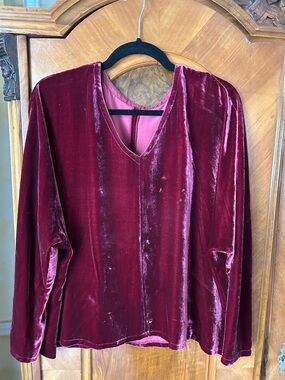 Velvet Burgundy Velvet V-Neck Blouse